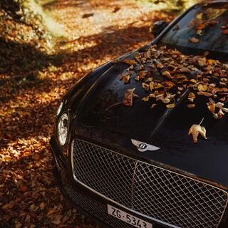 Money Rain