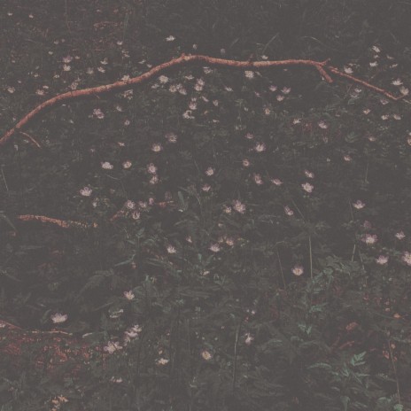 cold april morning cover art