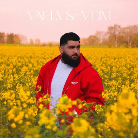 Valla Sevdim cover art