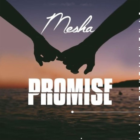 Promise cover art