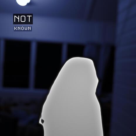 NotKnown cover art