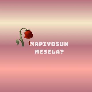 Turkish Cover