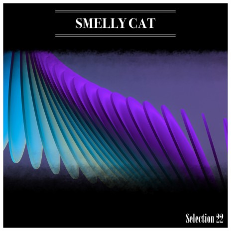 Costanza (Radio Vrs.) cover art