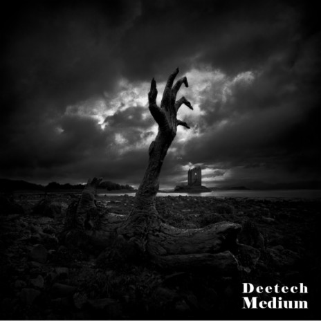 Medium (Midnight Mix) cover art