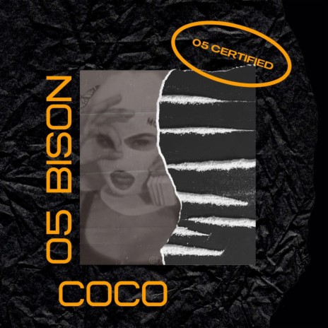coco cover art