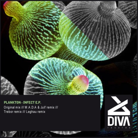 Infect cover art