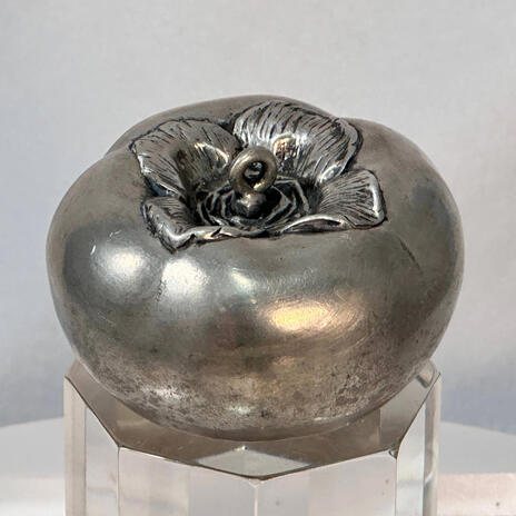 Pewter Persimmon cover art
