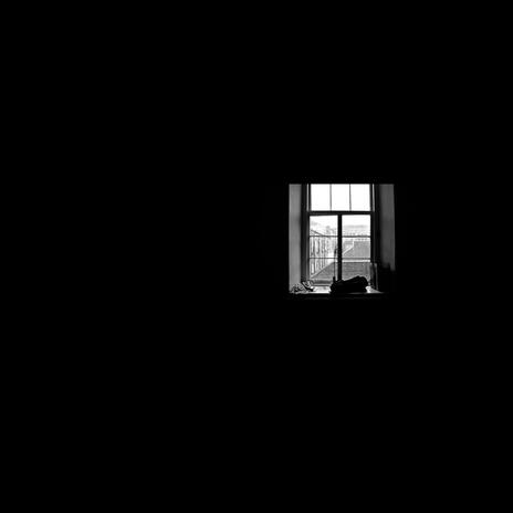 In The Dark cover art