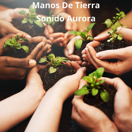 Manos De Tierra cover art
