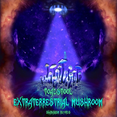 Extraterrestrial Phobia - 210-230 Bpm (Original Mix) cover art