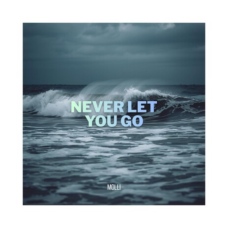 Never Let You Go cover art