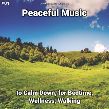 Calm Music