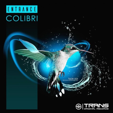 Colibri (Original Mix) cover art