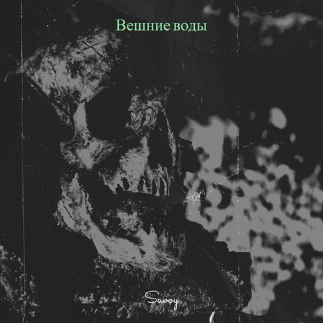 Вешние воды
