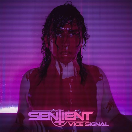 Vice Signal cover art
