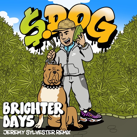 Brighter Days (Jeremy Sylvester Remix) cover art