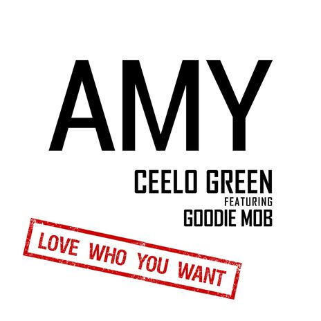 Amy (feat. Goodie Mob) [Radio Version] cover art