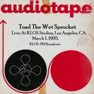 Toad The Wet Sprocket