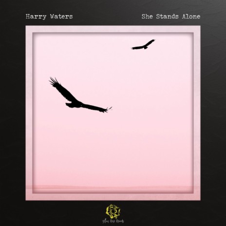 She Stands Alone cover art