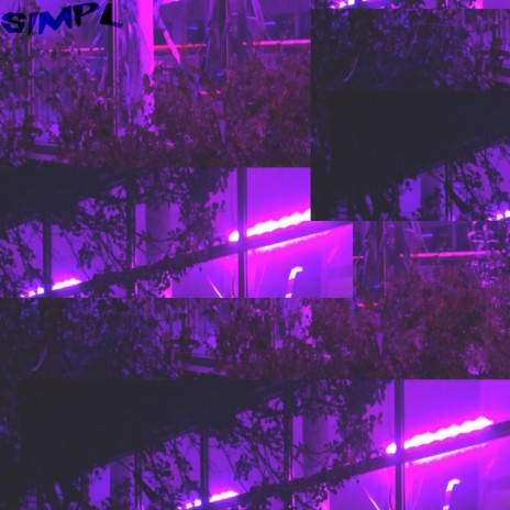 nuisance/home+ rmx ft. pandi cover art