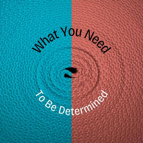 What You Need cover art