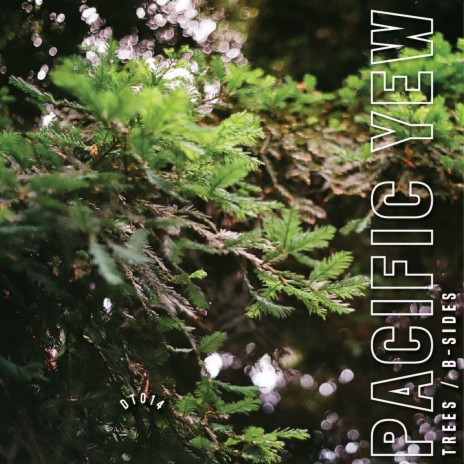 Hindu Kush cover art