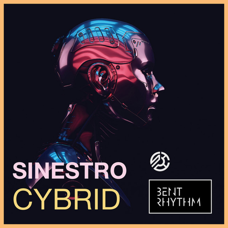 Cybrid cover art