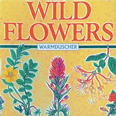 Wild Flowers (Radio Edit) cover art