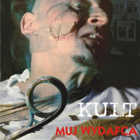 Historia pewnej miłości cover art