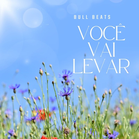 Você Vai Levar (Phonk) ft. Manu Rg cover art