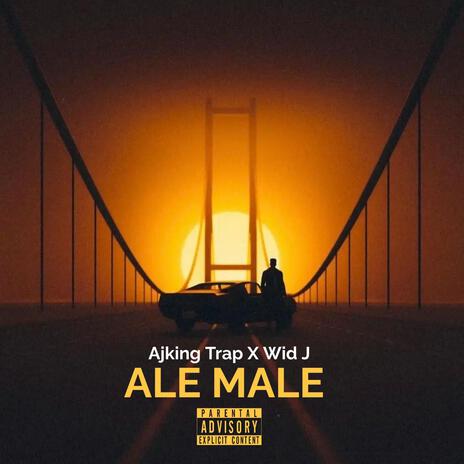Ale Male ft. Wid J. Infini cover art