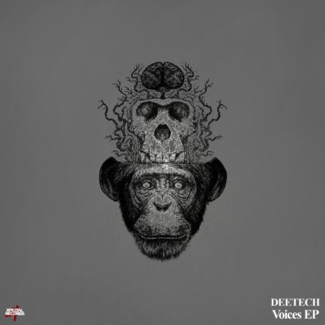 Voices (Original Mix) cover art