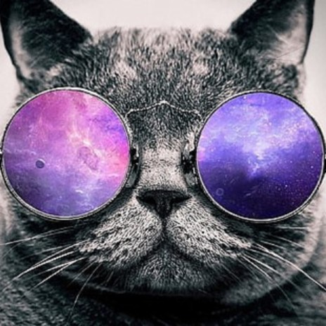 the futures so bright !