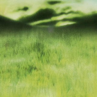 Rot cover art