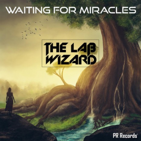 The Lab Wizard