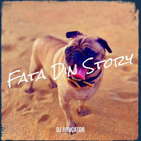 Fata Din Story cover art