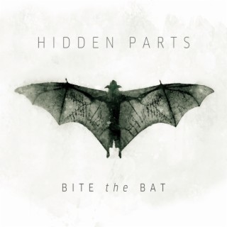 Hidden Parts