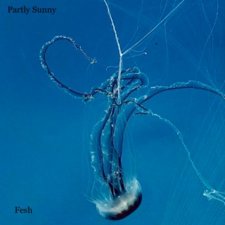 Partly Sunny