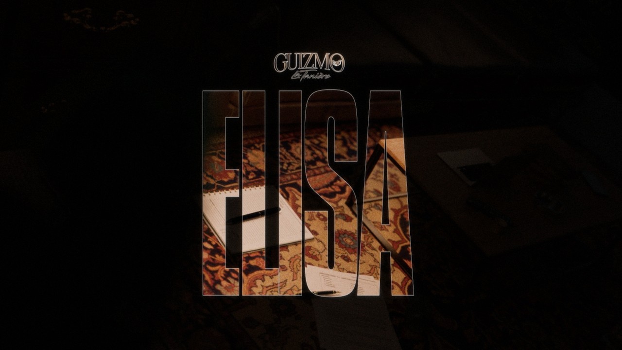 Guizmo - ELISA (Visualizer)