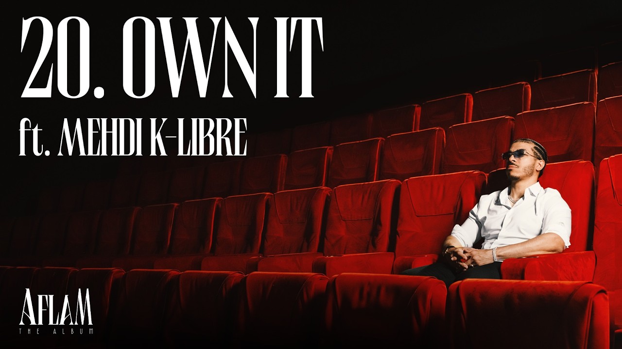 20 - Dizzy DROS - OWN IT (ft. Mehdi K-libre) cover art