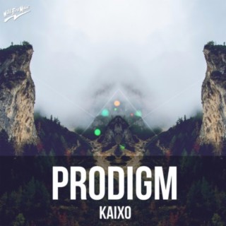 Prodigm cover art