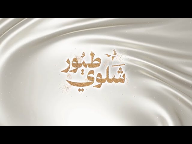 راشد الفارس طيور شَلوى - أغنية خاصة cover art