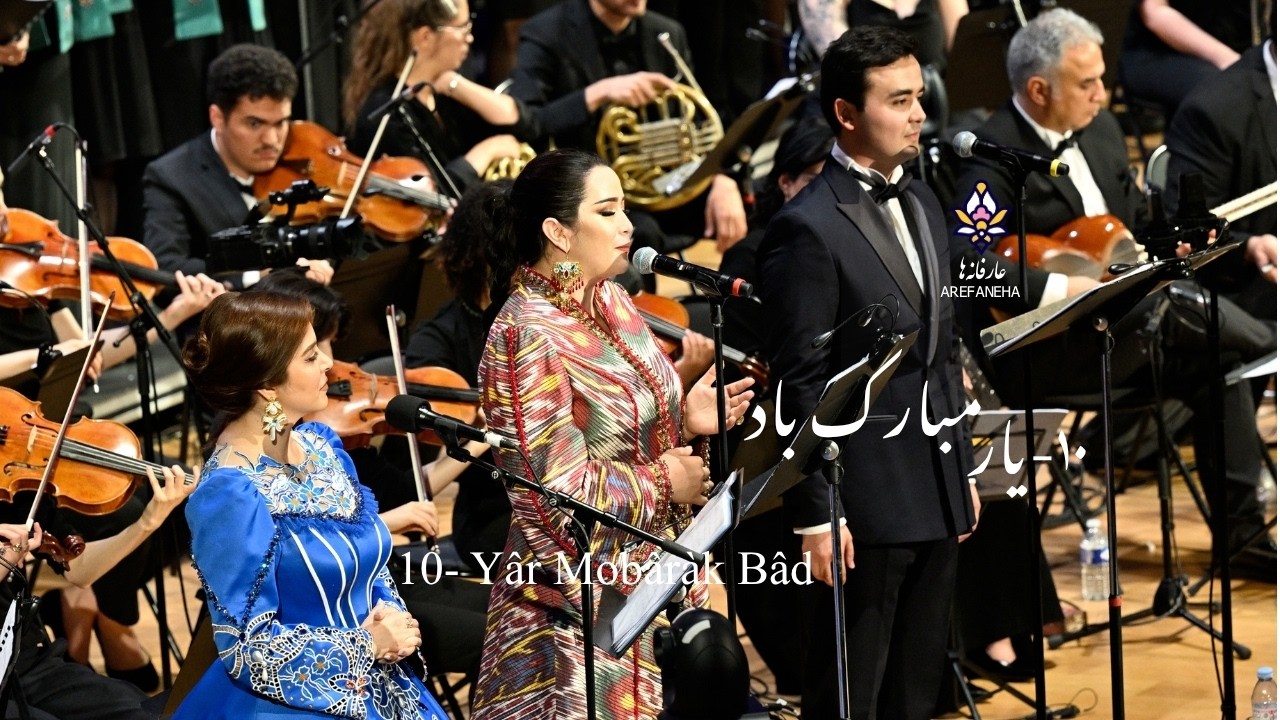 Darya Dadvar