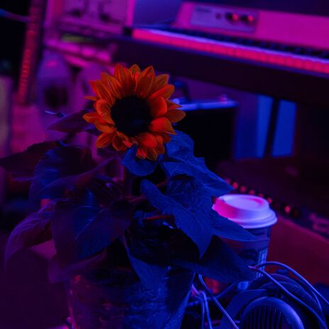 Linie 12 ft. Rhein aus Prinzip & sweetlawdbabyjesus cover art