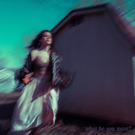 what do you want? cover art