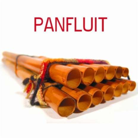 Fluit Ontspanning