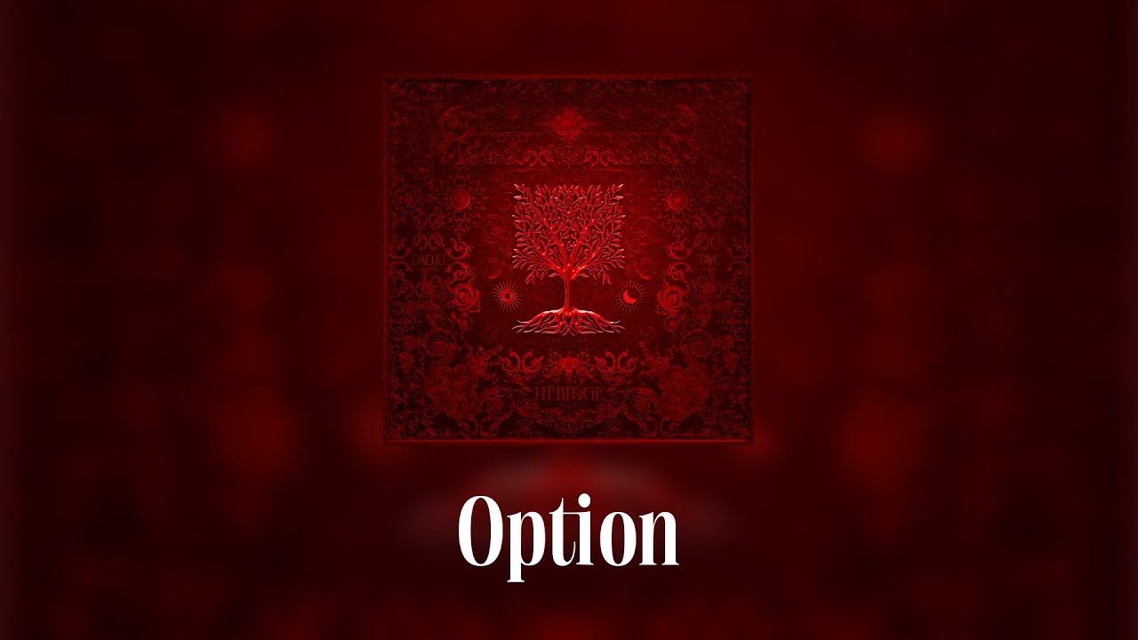 Dadju & Tayc - Option (Lyrics video) cover art
