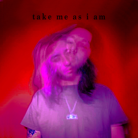 take me as i am cover art