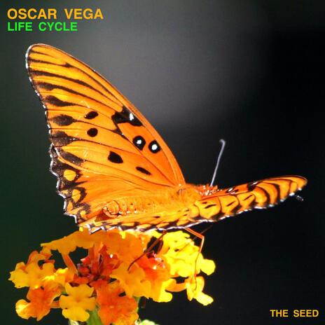 Butterfly cover art