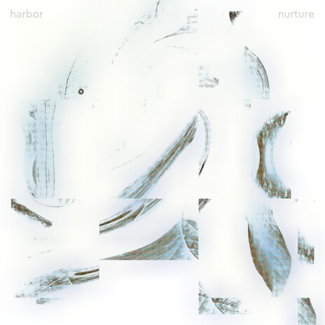 Nurture cover art